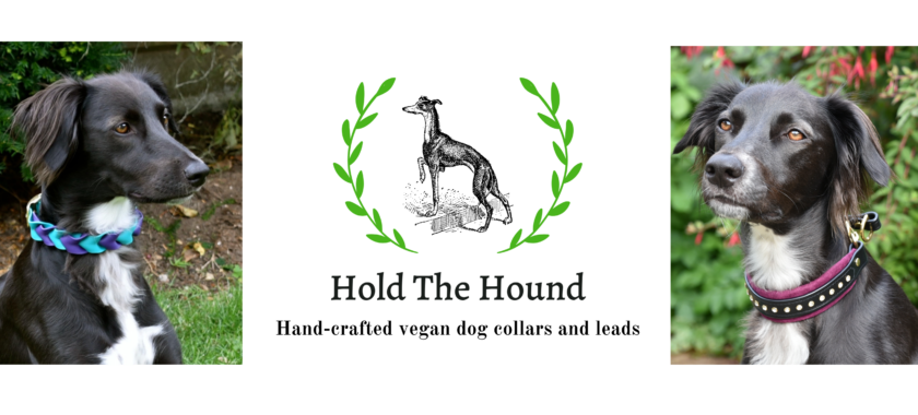 Hold The Hound